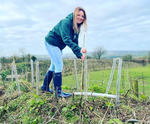 Joanna tree planting